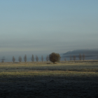 Moorimpression