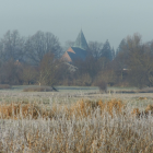 Moorimpression