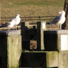 Familienausflug